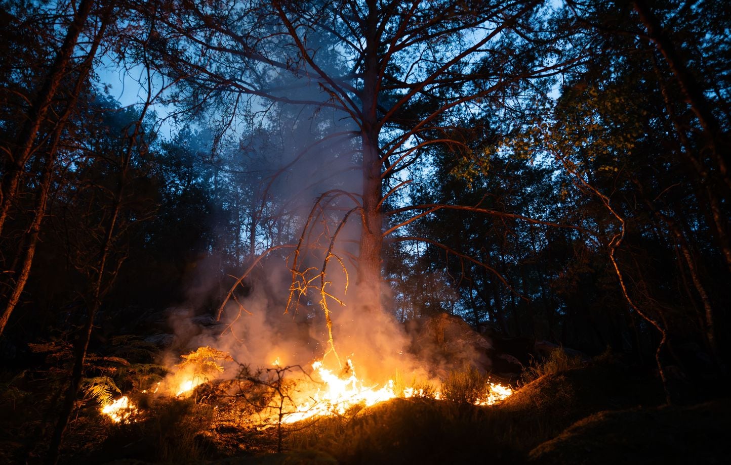 27 departamentos colocados en riesgo “alto” de incendios forestales este lunes por Météo-France 27 departamentos colocados en riesgo “alto” de incendios forestales este lunes por Météo-France